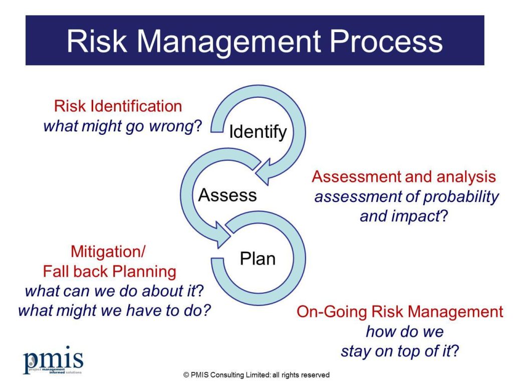 Project Risk Management]